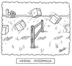 Vegan Insomnia